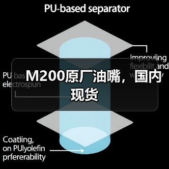 M200原厂油嘴，国内现货（图1）