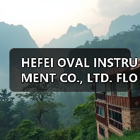 HEFEI OVAL INSTRUMENT CO., LTD. FLOW METER（图3）
