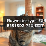Flowmeter type: FGBB631BD2-72X找李工13336686138(图4) Flowmeter type: FGBB631BD2-72X找李工13336686138(图4)