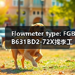 Flowmeter type: FGBB631BD2-72X找李工13336686138(图2) Flowmeter type: FGBB631BD2-72X找李工13336686138(图2)
