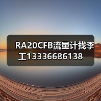 RA20CFB流量计找李工13336686138(图3) RA20CFB流量计找李工13336686138(图3)
