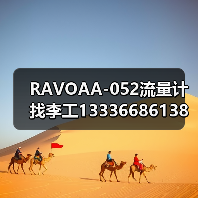 RAVOAA-052流量计找李工13336686138（图4）