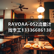 RAVOAA-052流量计找李工13336686138（图2）