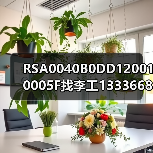RSA0040B0DD120010005F找李工13336686138(图4) RSA0040B0DD120010005F找李工13336686138(图4)