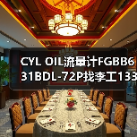 CYL OIL流量计FGBB631BDL-72P找李工13336686138邮箱1154428321@qq.com(图3) CYL OIL流量计FGBB631BDL-72P找李工13336686138邮箱1154428321@qq.com(图3)