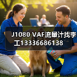 J1080 VAF流量计找李工13336686138(图1) J1080 VAF流量计找李工13336686138(图1)