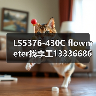 LS5376-430C flowmeter找李工13336686138(图4) LS5376-430C flowmeter找李工13336686138(图4)