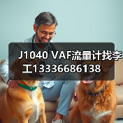 J1040 VAF流量计找李工13336686138（图4）