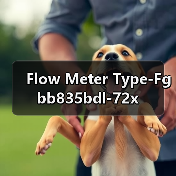 Flow Meter Type-Fgbb835bdl-72x（图3）