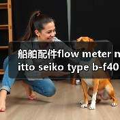 船舶配件flow meter nitto seiko type b-f40a(图3) 船舶配件flow meter nitto seiko type b-f40a(图3)