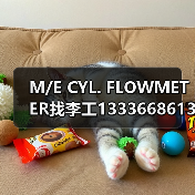 M/E CYL. FLOWMETER找李工13336686138邮箱1154428321@qq.com(图2) M/E CYL. FLOWMETER找李工13336686138邮箱1154428321@qq.com(图2)
