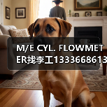 M/E CYL. FLOWMETER找李工13336686138邮箱1154428321@qq.com(图1) M/E CYL. FLOWMETER找李工13336686138邮箱1154428321@qq.com(图1)