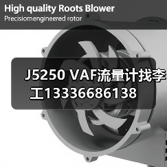 J5250 VAF流量计找李工13336686138(图1) J5250 VAF流量计找李工13336686138(图1)