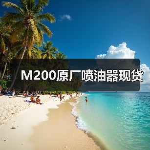 M200原厂喷油器现货(图2) M200原厂喷油器现货(图2)
