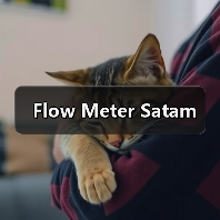 Flow Meter Satam（图4）