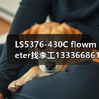 LS5376-430C flowmeter找李工13336686138(图2) LS5376-430C flowmeter找李工13336686138(图2)
