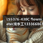 LS5376-430C flowmeter找李工13336686138(图1) LS5376-430C flowmeter找李工13336686138(图1)