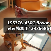 LS5376-430C flowmeter找李工13336686138(图3) LS5376-430C flowmeter找李工13336686138(图3)