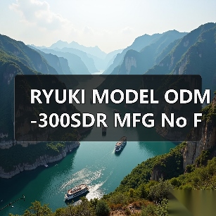 RYUKI MODEL ODM-300SDR MFG No FMA80923 TOKYO RYUKI KOGYO找李工13336686138(图4) RYUKI MODEL ODM-300SDR MFG No FMA80923 TOKYO RYUKI KOGYO找李工13336686138(图4)