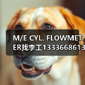 M/E CYL. FLOWMETER找李工13336686138邮箱1154428321@qq.com(图3) M/E CYL. FLOWMETER找李工13336686138邮箱1154428321@qq.com(图3)