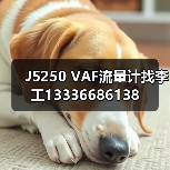 J5250 VAF流量计找李工13336686138(图1) J5250 VAF流量计找李工13336686138(图1)