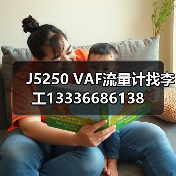 J5250 VAF流量计找李工13336686138(图2) J5250 VAF流量计找李工13336686138(图2)