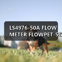 LS4976-50A FLOW METER FLOWPET-5G FLOWPET-EG(图4) LS4976-50A FLOW METER FLOWPET-5G FLOWPET-EG(图4)