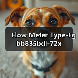 Flow Meter Type-Fgbb835bdl-72x(图4) Flow Meter Type-Fgbb835bdl-72x(图4)