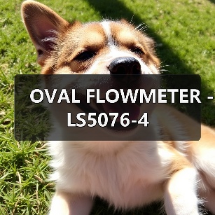 OVAL FLOWMETER - LS5076-4(图1) OVAL FLOWMETER - LS5076-4(图1)