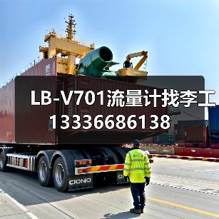LB-V701流量计找李工13336686138（图4）