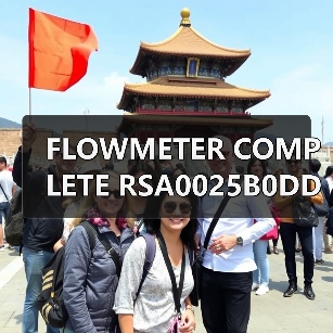FLOWMETER COMPLETE RSA0025B0DD120010020F NITTO SEIKO(图3) FLOWMETER COMPLETE RSA0025B0DD120010020F NITTO SEIKO(图3)