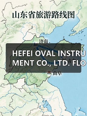 HEFEI OVAL INSTRUMENT CO., LTD. FLOW METER(图4) HEFEI OVAL INSTRUMENT CO., LTD. FLOW METER(图4)
