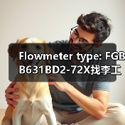 Flowmeter type: FGBB631BD2-72X找李工13336686138(图1) Flowmeter type: FGBB631BD2-72X找李工13336686138(图1)