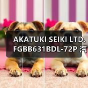 AKATUKI SEIKI LTD. FGBB631BDL-72P 汽缸油流量计找李工13336686138(图1) AKATUKI SEIKI LTD. FGBB631BDL-72P 汽缸油流量计找李工13336686138(图1)