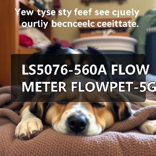 LS5076-560A FLOW METER FLOWPET-5G FLOWPET-EG(图1) LS5076-560A FLOW METER FLOWPET-5G FLOWPET-EG(图1)