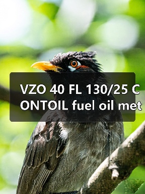 VZO 40 FL 130/25 CONTOIL fuel oil meter(图2) VZO 40 FL 130/25 CONTOIL fuel oil meter(图2)