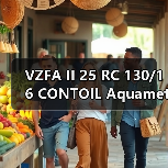 VZFA II 25 RC 130/16 CONTOIL Aquametro Oil & Marine AG（图3）