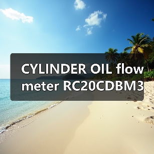CYLINDER OIL flowmeter RC20CDBM3(图3) CYLINDER OIL flowmeter RC20CDBM3(图3)