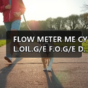 FLOW METER ME CYL.OIL.G/E F.O.G/E D.O(图1) FLOW METER ME CYL.OIL.G/E F.O.G/E D.O(图1)