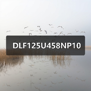 DLF125U458NP10(图4) DLF125U458NP10(图4)