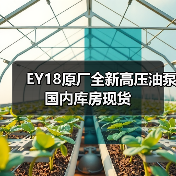 EY18原厂全新高压油泵国内库房现货(图3) EY18原厂全新高压油泵国内库房现货(图3)