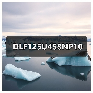 DLF125U458NP10(图2) DLF125U458NP10(图2)