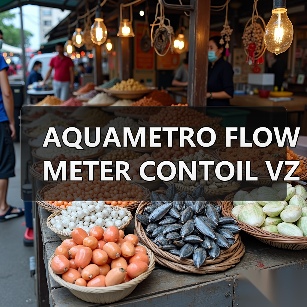 AQUAMETRO FLOWMETER CONTOIL VZOA 25（图1）