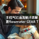 主机气缸油流量计流量表flowmeter GEAR TYPE CYL OIL(图1) 主机气缸油流量计流量表flowmeter GEAR TYPE CYL OIL(图1)
