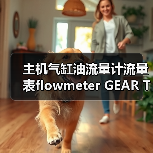 主机气缸油流量计流量表flowmeter GEAR TYPE CYL OIL(图3) 主机气缸油流量计流量表flowmeter GEAR TYPE CYL OIL(图3)