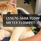 LS5676-560A FLOW METER FLOWPET-5G FLOWPET-EG(图3) LS5676-560A FLOW METER FLOWPET-5G FLOWPET-EG(图3)