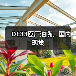 DE33原厂油嘴,国内现货(图2) DE33原厂油嘴,国内现货(图2)