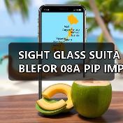 SIGHT GLASS SUITABLEFOR 08A PIP IMPA752501(图1) SIGHT GLASS SUITABLEFOR 08A PIP IMPA752501(图1)
