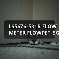 LS5676-531B FLOW METER FLOWPET-5G FLOWPET-EG(图2) LS5676-531B FLOW METER FLOWPET-5G FLOWPET-EG(图2)
