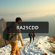 RA25CDD(图2) RA25CDD(图2)